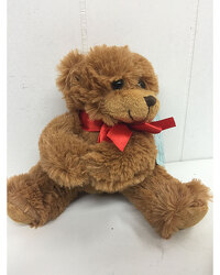 Brown Bear Hugger 5" from Eagledale Florist in Indianapolis, IN