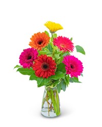 Gleeful Gerbera from Eagledale Florist in Indianapolis, IN