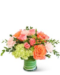 Coral Calma from Eagledale Florist in Indianapolis, IN