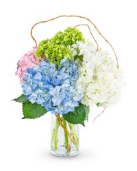 Sweet Hydrangea from Eagledale Florist in Indianapolis, IN