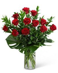 Red Roses with Modern Foliage (12) from Eagledale Florist in Indianapolis, IN