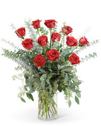 Red Roses with Eucalyptus Foliage (12) from Eagledale Florist in Indianapolis, IN
