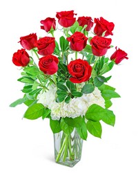 One Dozen Red Roses with Hydrangea from Eagledale Florist in Indianapolis, IN