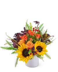 Sunshine Day from Eagledale Florist in Indianapolis, IN