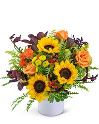 You Are My Sunshine from Eagledale Florist in Indianapolis, IN