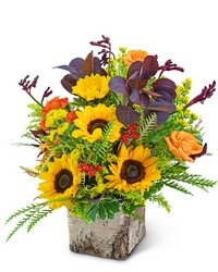 Bountiful Harvest from Eagledale Florist in Indianapolis, IN