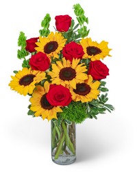 Sunny Love from Eagledale Florist in Indianapolis, IN