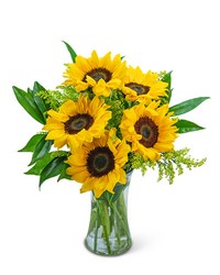 Sprinkle of Sunflowers from Eagledale Florist in Indianapolis, IN