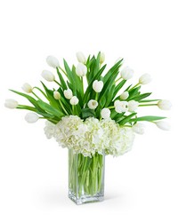 White Elegance from Eagledale Florist in Indianapolis, IN