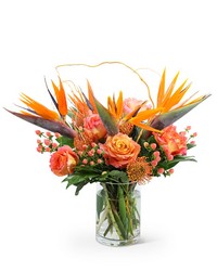 Spirit of the Tropics from Eagledale Florist in Indianapolis, IN