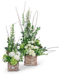 Grace and Elegance from Eagledale Florist in Indianapolis, IN