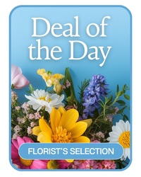 Florist's Deal of the Day from Eagledale Florist in Indianapolis, IN