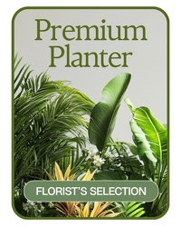 Designer's Choice Premium Planter from Eagledale Florist in Indianapolis, IN