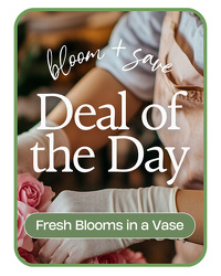 Deal of the Day from Eagledale Florist in Indianapolis, IN