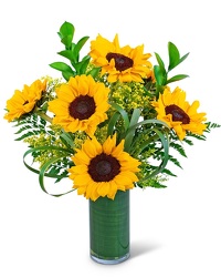 Ray of Golden Sunflowers from Eagledale Florist in Indianapolis, IN