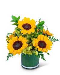 Sunshine Sunflowers from Eagledale Florist in Indianapolis, IN