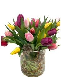 Spring & Tulips from Eagledale Florist in Indianapolis, IN