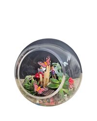 Succulent Terrarium with Fairy Village from Eagledale Florist in Indianapolis, IN