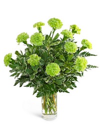 One Dozen Green Carnations from Eagledale Florist in Indianapolis, IN One Dozen Green Carnations from Eagledale Florist in Indianapolis, IN
