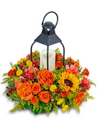 Goldenrod Lantern from Eagledale Florist in Indianapolis, IN Goldenrod Lantern from Eagledale Florist in Indianapolis, IN