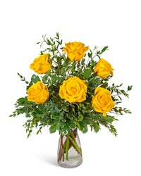 Half Dozen Yellow Roses from Eagledale Florist in Indianapolis, IN Half Dozen Yellow Roses from Eagledale Florist in Indianapolis, IN