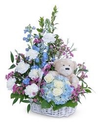 Beary Lovable from Eagledale Florist in Indianapolis, IN