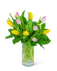 Strawberry Lemonade Tulips from Eagledale Florist in Indianapolis, IN
