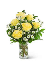 Yellow Roses with Daisies from Eagledale Florist in Indianapolis, IN