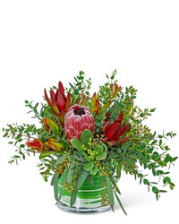 Protea Wilderness from Eagledale Florist in Indianapolis, IN