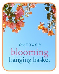 Outdoor Blooming Hanging Basket Plant from Eagledale Florist in Indianapolis, IN