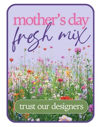 Designer's Choice for Mother's Day from Eagledale Florist in Indianapolis, IN