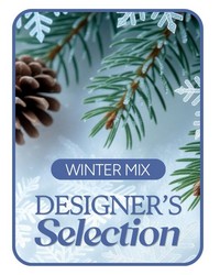 Designer's Choice Winter Flowers from Eagledale Florist in Indianapolis, IN