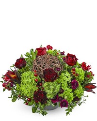 Merlot Twist from Eagledale Florist in Indianapolis, IN