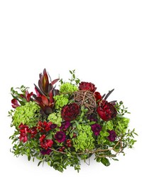 Modern Merlot from Eagledale Florist in Indianapolis, IN