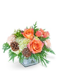 Frosted Peach Lane from Eagledale Florist in Indianapolis, IN