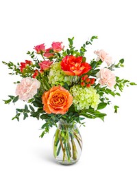 Fresh Apricot from Eagledale Florist in Indianapolis, IN