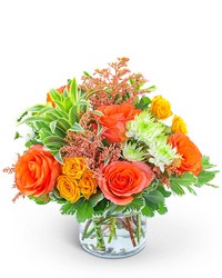 Key West Sunshine from Eagledale Florist in Indianapolis, IN