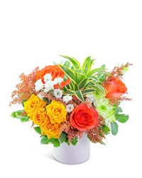 Easy Breezy from Eagledale Florist in Indianapolis, IN