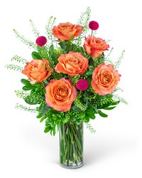 Half Dozen Wild and Free Spirit Roses from Eagledale Florist in Indianapolis, IN