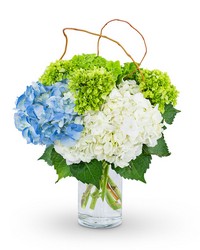 Hydrangea Perfection from Eagledale Florist in Indianapolis, IN