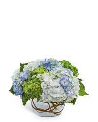 Dreamy Hydrangea from Eagledale Florist in Indianapolis, IN