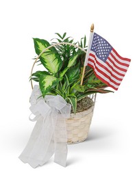 Patriotic Planter from Eagledale Florist in Indianapolis, IN