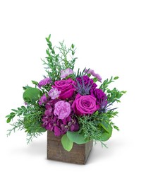 Violet Woods from Eagledale Florist in Indianapolis, IN