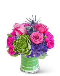 London Posh with Succulent from Eagledale Florist in Indianapolis, IN