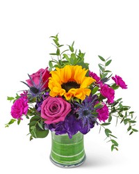 Sunny Blooms from Eagledale Florist in Indianapolis, IN