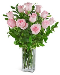 One Dozen Light Pink Roses from Eagledale Florist in Indianapolis, IN