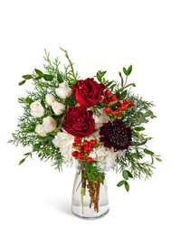 Crimson Lace from Eagledale Florist in Indianapolis, IN