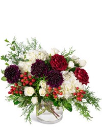 Crimson Frost Cashmere from Eagledale Florist in Indianapolis, IN