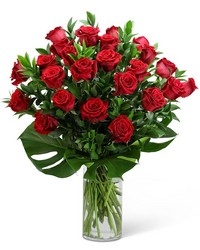 Red Roses with Modern Foliage (24) from Eagledale Florist in Indianapolis, IN