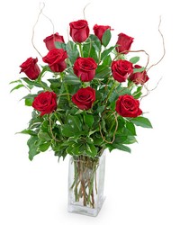 Dozen Red Roses with Willow from Eagledale Florist in Indianapolis, IN